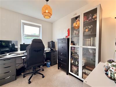 Picture 9
